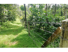 Plot  for sale in Wayanad