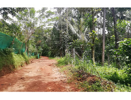 Plot  for sale in Wayanad