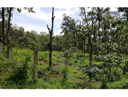 Plot  for sale in Wayanad