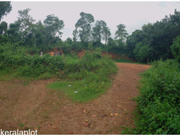 80 cent plot at Thachangod, Vaniyambalam, Malappuram dist.