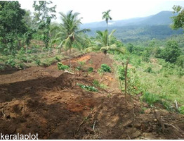 PLOT FOR SALE @ VEMBAYAM