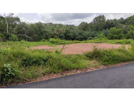 54 CENTS OF LAND FOR SALE AT KANJIRAMATTOM, ERNAKULAM