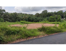 54 CENTS OF LAND FOR SALE AT KANJIRAMATTOM, ERNAKULAM