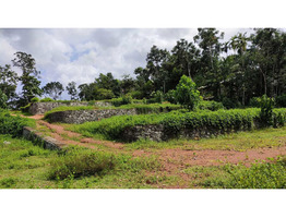 54 CENTS OF LAND FOR SALE AT KANJIRAMATTOM, ERNAKULAM