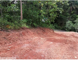 90 CENTS OF LAND FOR SALE AT MEEYANNOOR, KOLLAM.