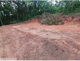 90 CENTS OF LAND FOR SALE AT MEEYANNOOR, KOLLAM.