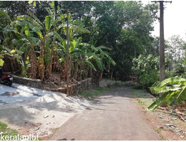 90 CENTS OF LAND FOR SALE AT MEEYANNOOR, KOLLAM.