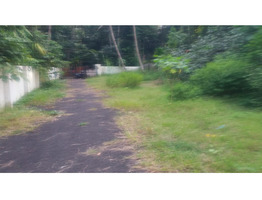 150 cents Residential plots  for sale near chettikulangara devi temple.