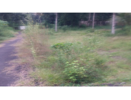 150 cents Residential plots  for sale near chettikulangara devi temple.