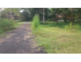 150 cents Residential plots  for sale near chettikulangara devi temple.