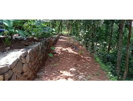 41 CENTS OF LAND FOR SALE AT CHALAKKUDY, THRISSUR.