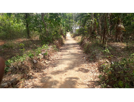 41 CENTS OF LAND FOR SALE AT CHALAKKUDY, THRISSUR.