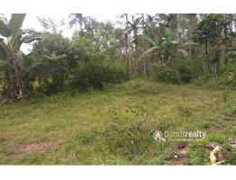 5.25 cent house plot for sale in Kenichira @ 5 lakh…….