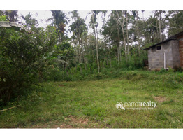 5.25 cent house plot for sale in Kenichira @ 5 lakh…….