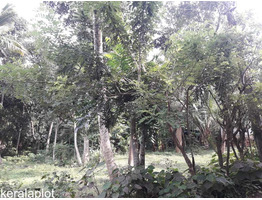 10 CENTS OF RESIDENTIAL PLOT FOR SALE AT VATTIYOORKAVU, THIRUVANANTHAPURAM.