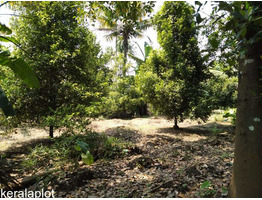 1.5 ACRES OF LAND WITH A 3 BHK OUTHOUSE FOR SALE AT CHALAKKUDY, TRISSUR.