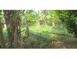 1.5 ACRES OF LAND WITH A 3 BHK OUTHOUSE FOR SALE AT CHALAKKUDY, TRISSUR.