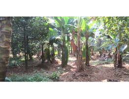 1.5 ACRES OF LAND WITH A 3 BHK OUTHOUSE FOR SALE AT CHALAKKUDY, TRISSUR.