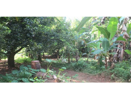 1.5 ACRES OF LAND WITH A 3 BHK OUTHOUSE FOR SALE AT CHALAKKUDY, TRISSUR.