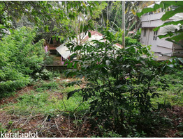 PLOT FOR SALE @ MALAYINKEEZHU