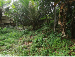 PLOT FOR SALE @ MALAYINKEEZHU