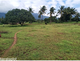 1.12 ACRES OF FARMLAND FOR SALE AT PALAKKAD.