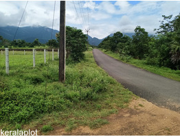 1.12 ACRES OF FARMLAND FOR SALE AT PALAKKAD.