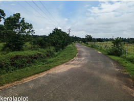 1.12 ACRES OF FARMLAND FOR SALE AT PALAKKAD.