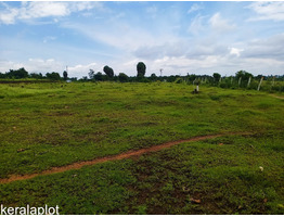 1.12 ACRES OF FARMLAND FOR SALE AT PALAKKAD.