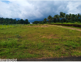 1.12 ACRES OF FARMLAND FOR SALE AT PALAKKAD.