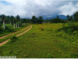 1.12 ACRES OF FARMLAND FOR SALE AT PALAKKAD.