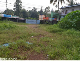 33 cent land sale at  Thanikamukku junction,kollam