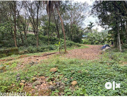 10cent land for sale at  karukachal near NH220 kottayam