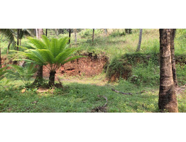 50 Cent  Land  for Sale at kondotty,malappuram