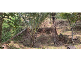 50 Cent  Land  for Sale at kondotty,malappuram