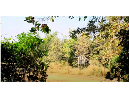 72 cent land for sale at pattambi palakad