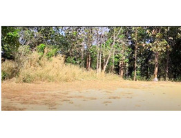 72 cent land for sale at pattambi palakad