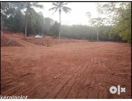 Housing plots In Pala Municipality,Kerala