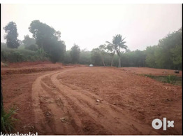 Housing plots In Pala Municipality,Kerala