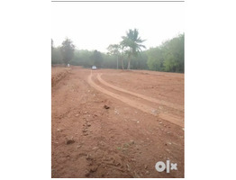 Housing plots In Pala Municipality,Kerala