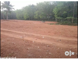 Housing plots In Pala Municipality,Kerala