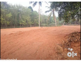 Housing plots In Pala Municipality,Kerala