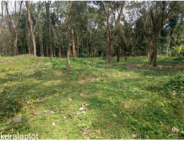 55 Cents of Rubber Plantation for Sale at Marangattupilly, Kottayam