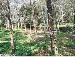 RUSH LAND SALE NEAR THADIYOOR RUBBER ESTATE CHEAP COST