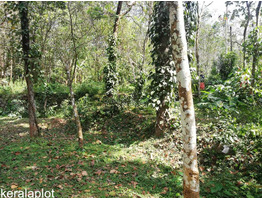 RUSH LAND SALE NEAR THADIYOOR RUBBER ESTATE CHEAP COST