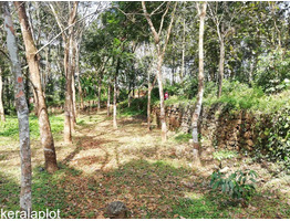 RUSH LAND SALE NEAR THADIYOOR RUBBER ESTATE CHEAP COST