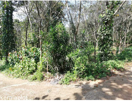 RUSH LAND SALE NEAR THADIYOOR RUBBER ESTATE CHEAP COST