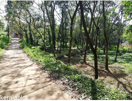 RUSH LAND SALE NEAR THADIYOOR RUBBER ESTATE CHEAP COST