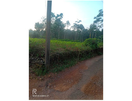 1acre land for sale at manvettam,kuruppthra,kottayam