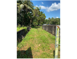 Plots for sale in Angamaly Town